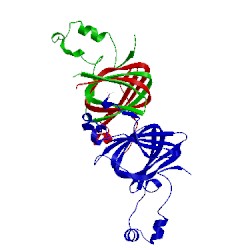 Image of CATH 1dgw