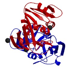 Image of CATH 1dhi