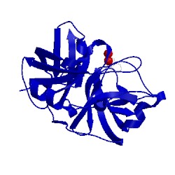 Image of CATH 1dic