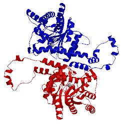 Image of CATH 1did