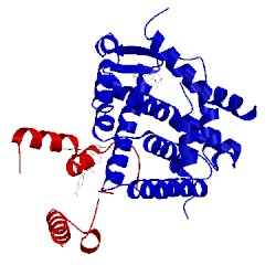 Image of CATH 1dkf