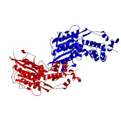 Image of CATH 1dkl