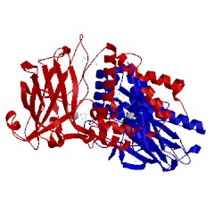 Image of CATH 1dlt