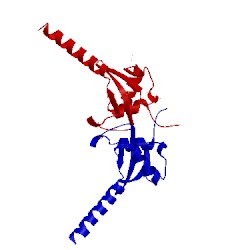 Image of CATH 1dm9