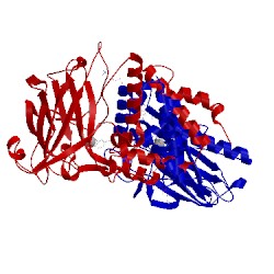 Image of CATH 1dmh