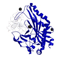 Image of CATH 1dmu