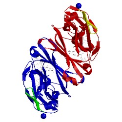 Image of CATH 1dn2