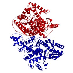 Image of CATH 1dnp