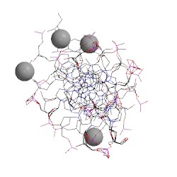 Image of CATH 1dpn