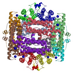 Image of CATH 1dps