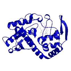 Image of CATH 1dsp
