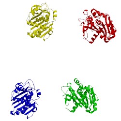 Image of CATH 1du4
