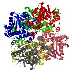 Image of CATH 1dub