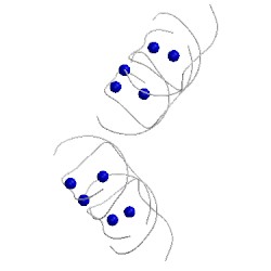 Image of CATH 1duq