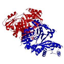 Image of CATH 1dv2