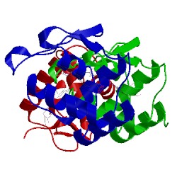 Image of CATH 1dw3
