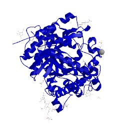 Image of CATH 1dwg