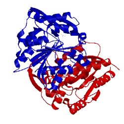 Image of CATH 1dwp