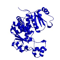 Image of CATH 1dxh