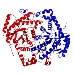 Image of CATH 1dxi