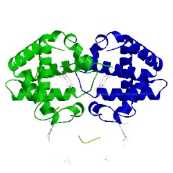 Image of CATH 1dxu