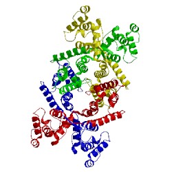Image of CATH 1dxx