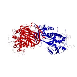 Image of CATH 1e03