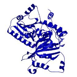 Image of CATH 1e1l