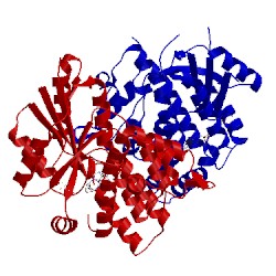 Image of CATH 1e2i