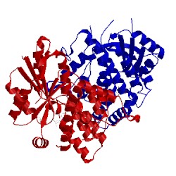 Image of CATH 1e2j