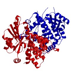 Image of CATH 1e2l