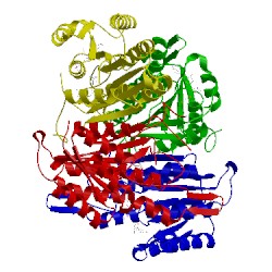 Image of CATH 1e3s