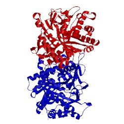 Image of CATH 1e4l