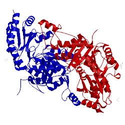 Image of CATH 1e5e