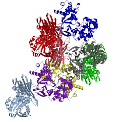 Image of CATH 1e5q