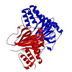 Image of CATH 1e5r