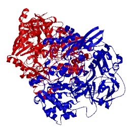 Image of CATH 1e60