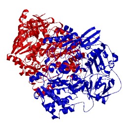 Image of CATH 1e61
