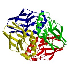 Image of CATH 1e65