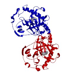 Image of CATH 1e6a