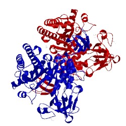 Image of CATH 1e6p