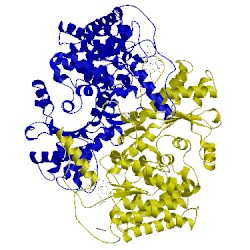 Image of CATH 1e6v