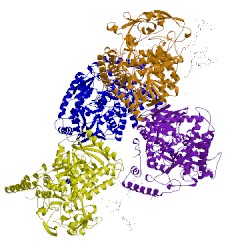 Image of CATH 1e7p