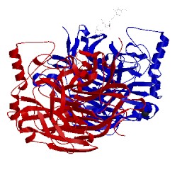 Image of CATH 1e8t