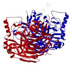 Image of CATH 1e8u