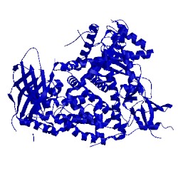 Image of CATH 1e8y