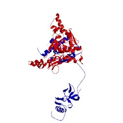 Image of CATH 1e9y