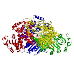 Image of CATH 1ebu