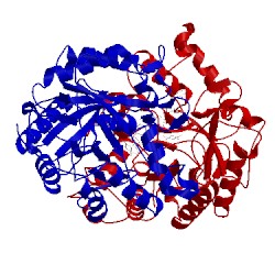 Image of CATH 1ece