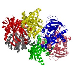 Image of CATH 1ecp